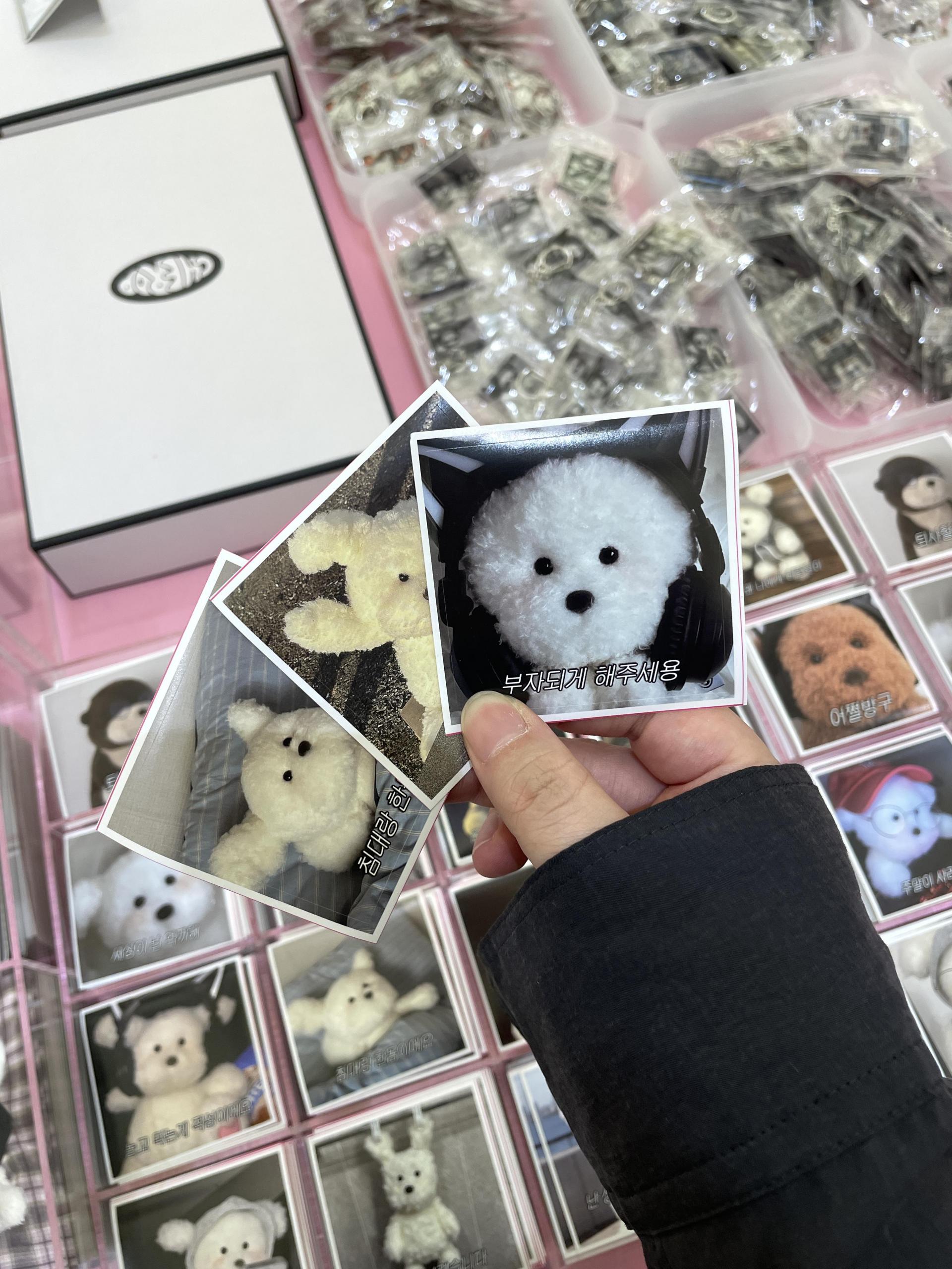 몽모월드