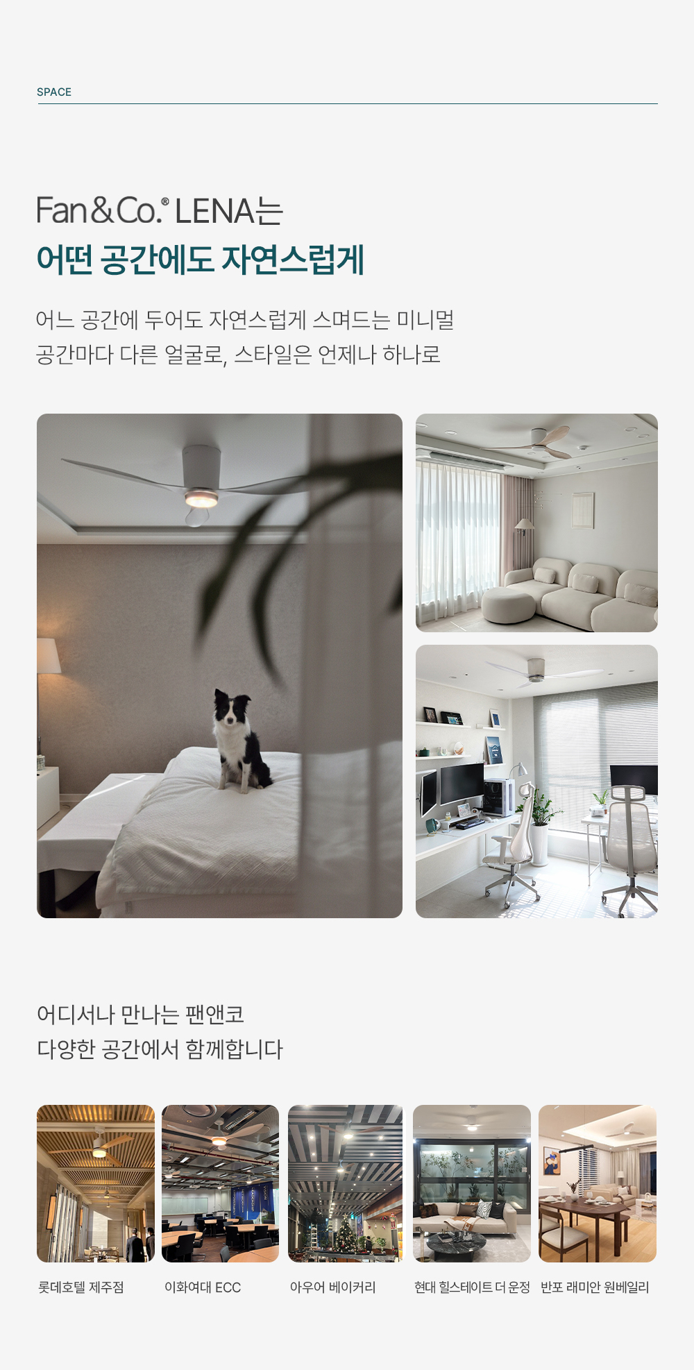 팬앤코 실링팬 겨울 역방향 반시계방향 따뜻한 공기순환 난방효율 본사공식