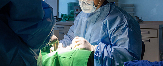 365서울탑플란트치과