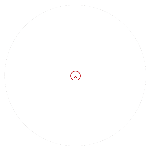 core-4xs reticle