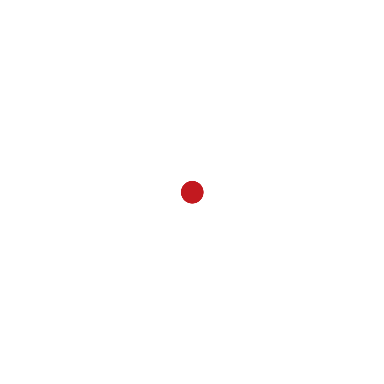 core-4xs reticle
