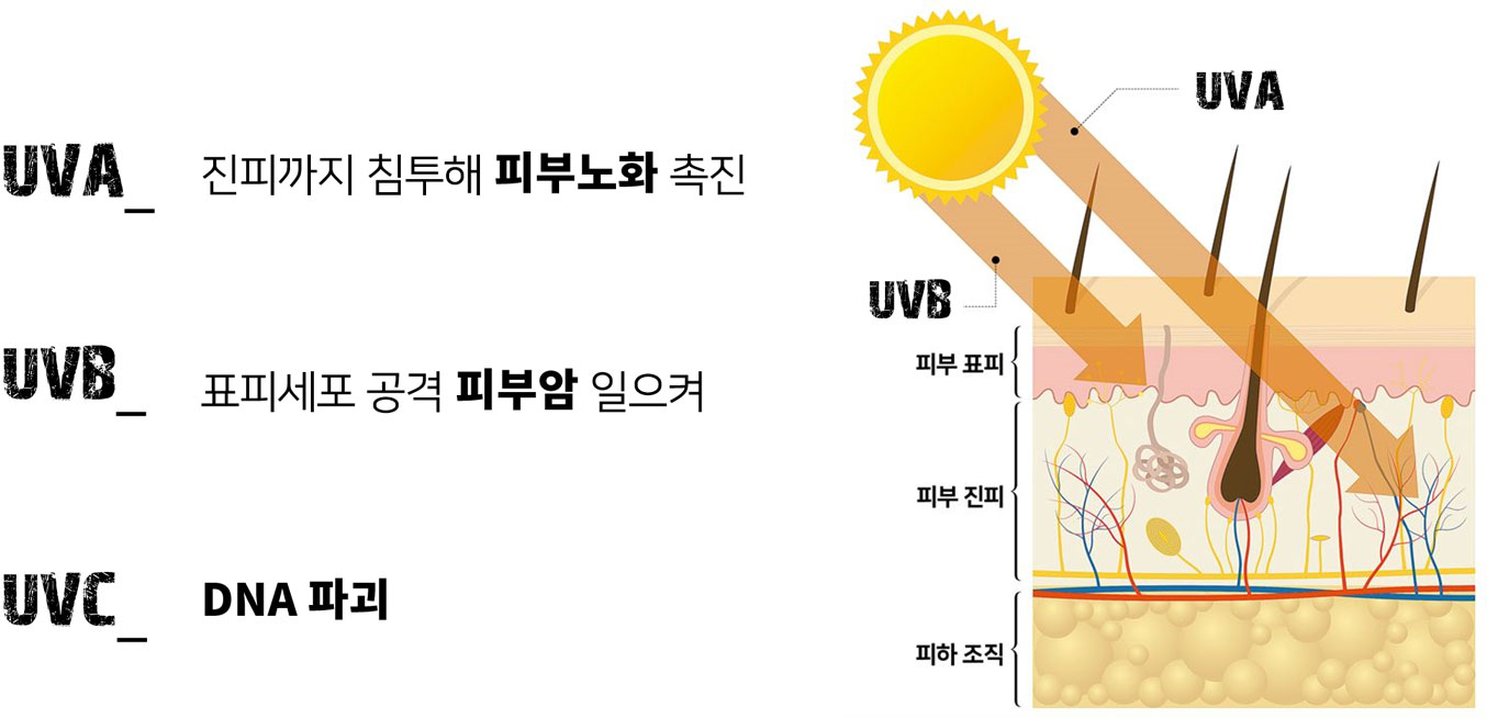 이미지 설명을 넣어주세요