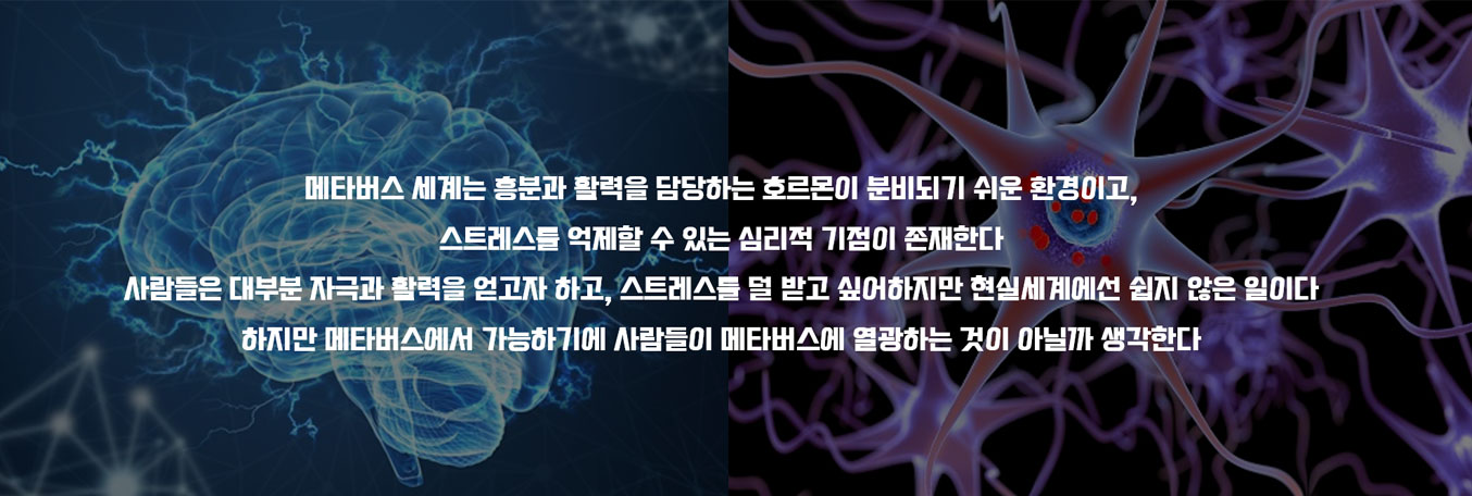 이미지 설명을 넣어주세요