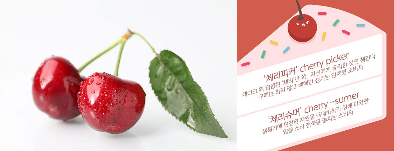 이미지 설명을 넣어주세요