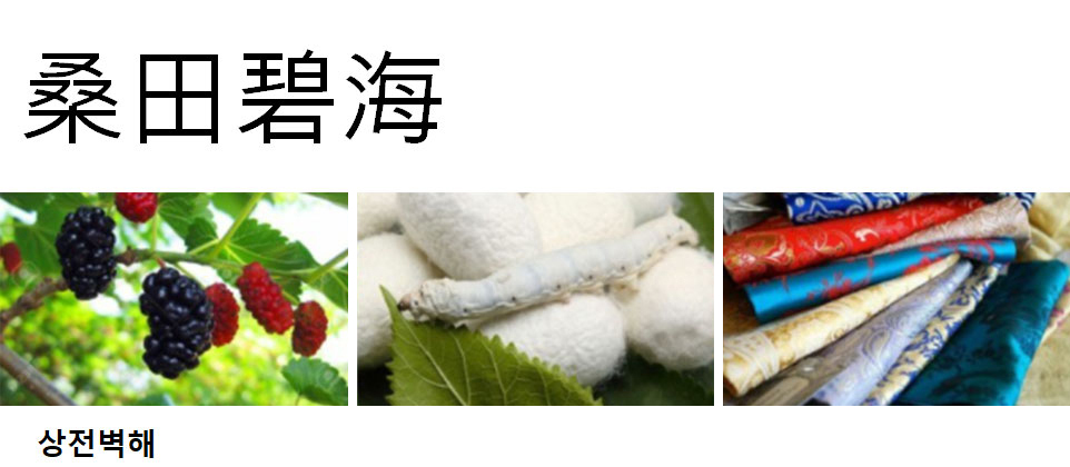 이미지 설명을 넣어주세요