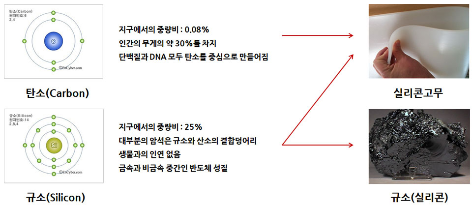 이미지 설명을 넣어주세요