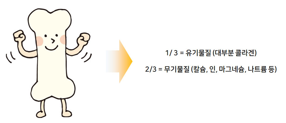 이미지 설명을 넣어주세요