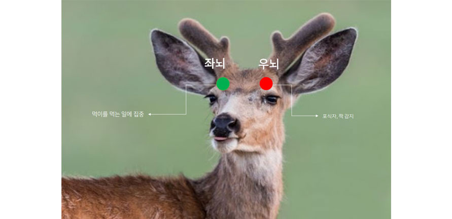 이미지 설명을 넣어주세요