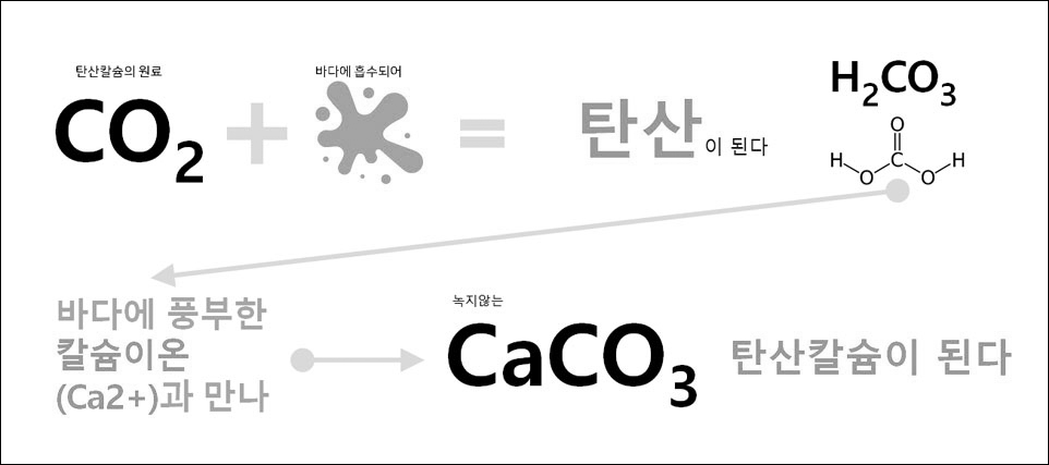 이미지 설명을 넣어주세요