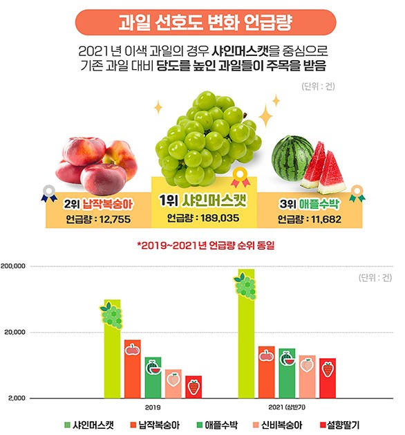 이미지 설명을 넣어주세요