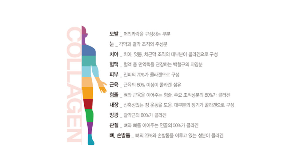 이미지 설명을 넣어주세요