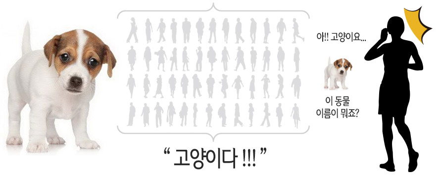 이미지 설명을 넣어주세요