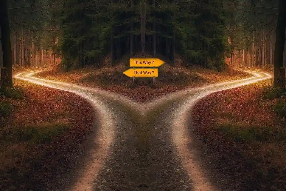 결정의 무료 사진