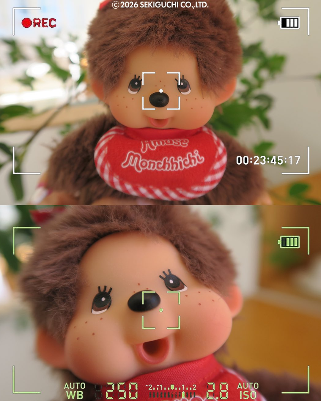 585152ea756af.png