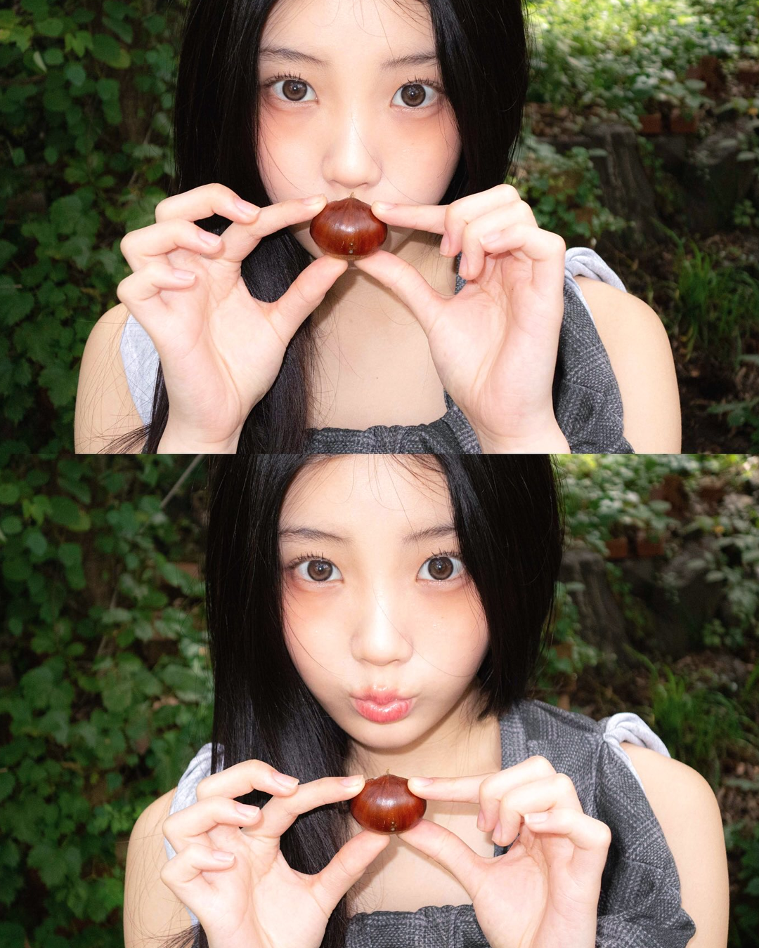 c4a4272b9857f.png