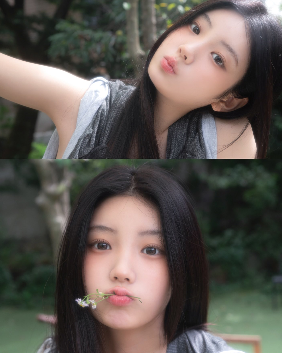 f2ebe7217d802.png