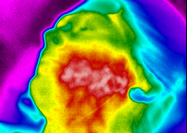 d977eef22ba7f.png