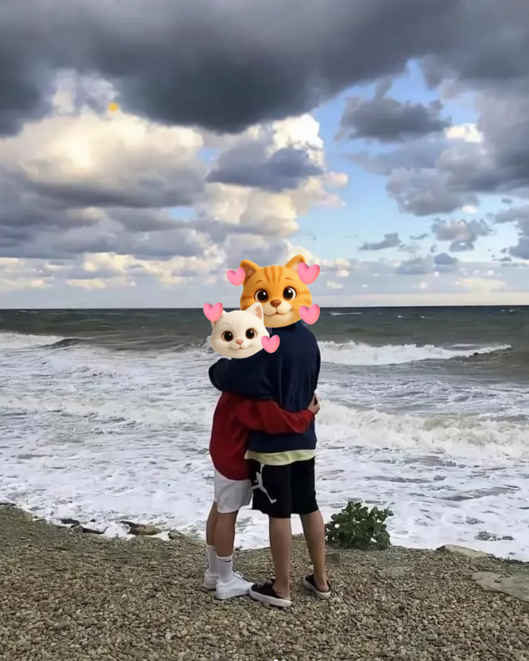 17ac30ddaee9d.png