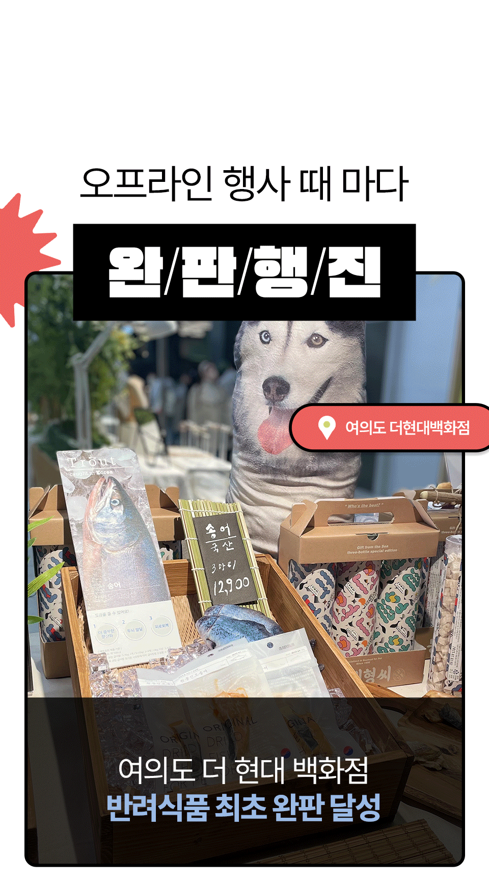 [펫페어상품] 동해형씨 EASTREAT 하프 기름가자미 트릿 50g