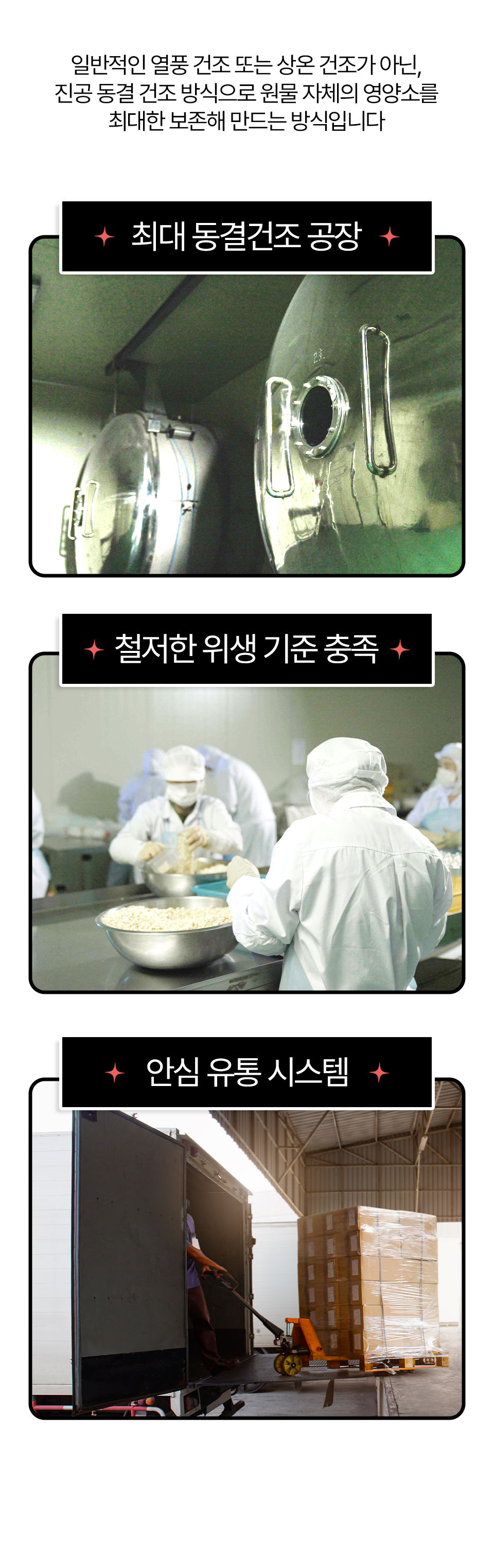 [펫페어상품] 동해형씨 EASTREAT 하프 기름가자미 트릿 50g