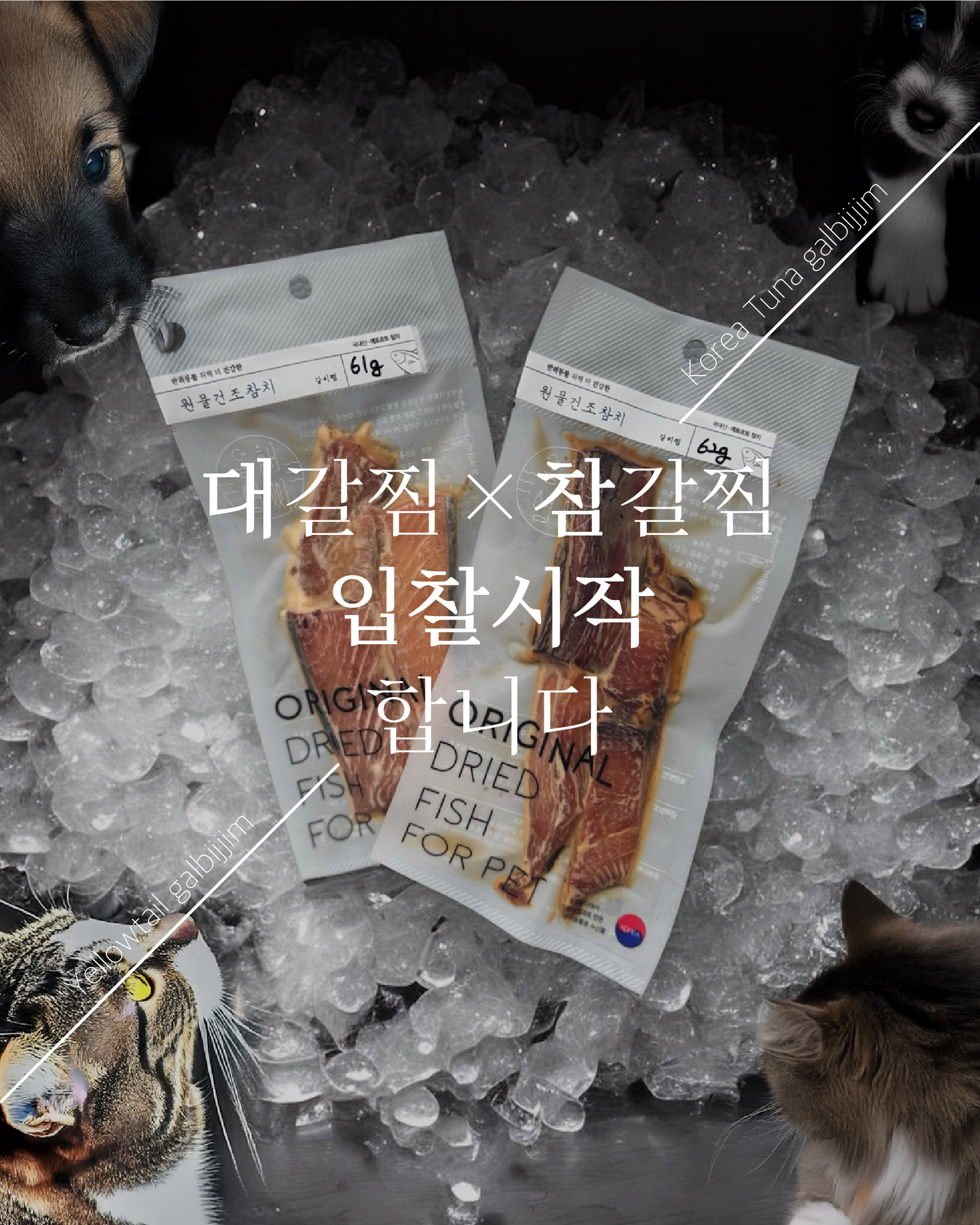 [펫페어상품] 동해형씨 대방어갈찜 & 참치갈비찜