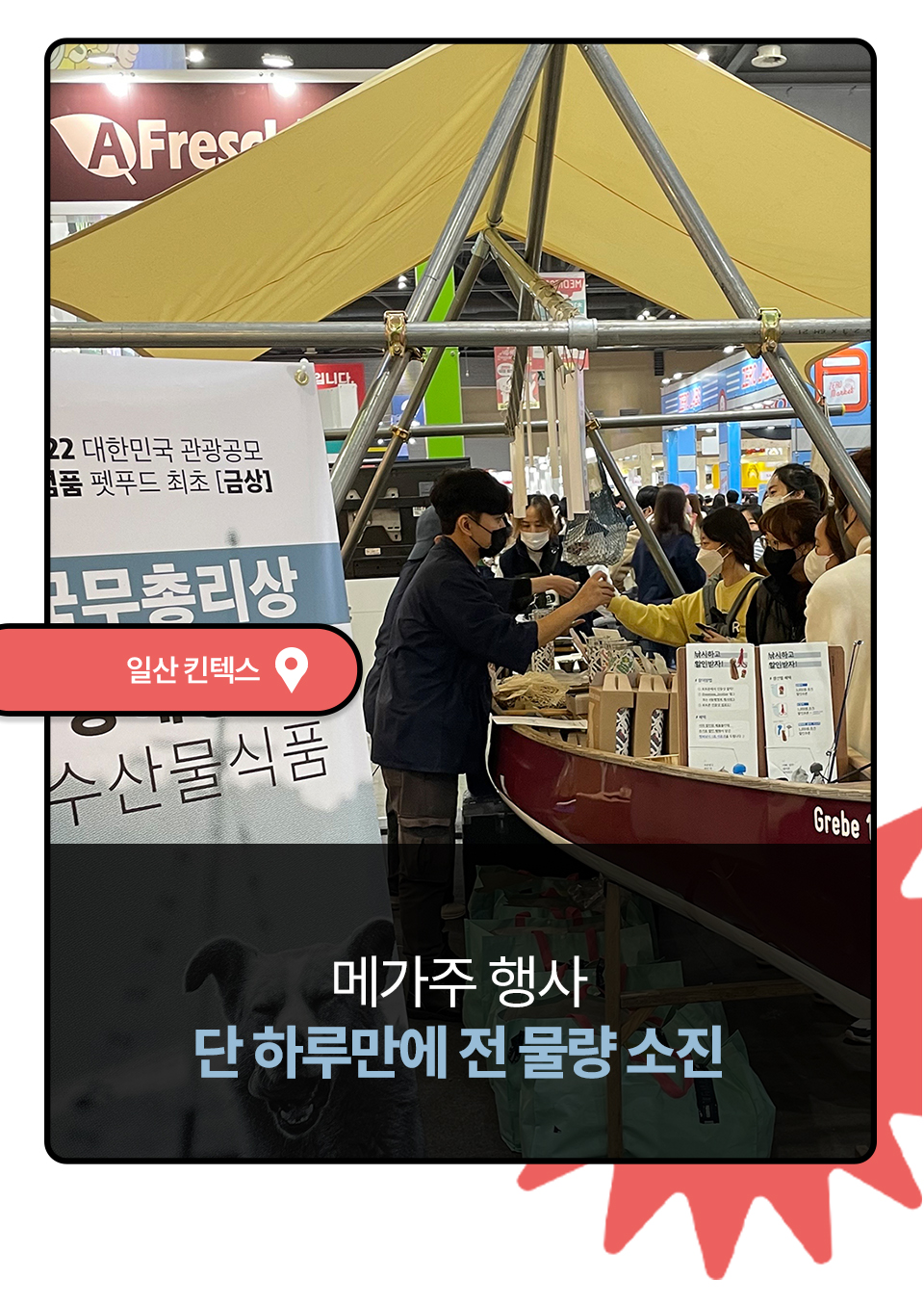 [펫페어상품] 동해형씨 EASTREAT 하프 기름가자미 트릿 50g