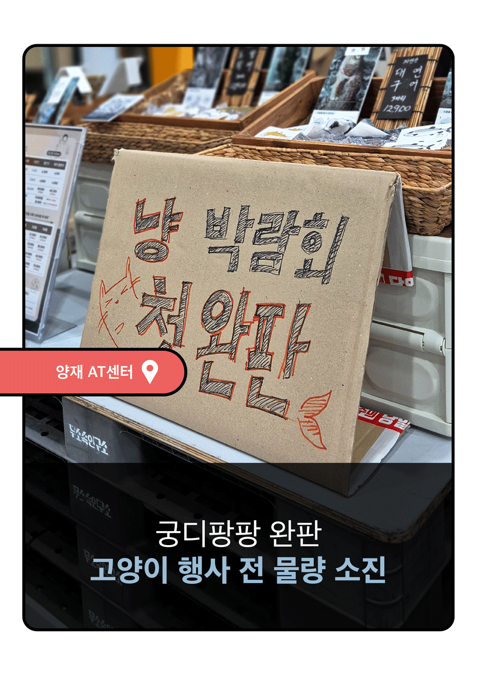 동해형씨 EASTREAT 하프 트릿 7종