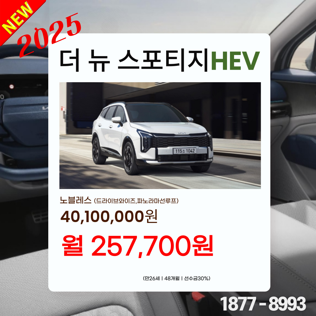 6e51853ae5820.png