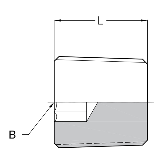 1139ea1a45c73.jpg