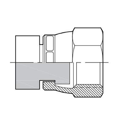 7ee8ca54b61a4.jpg