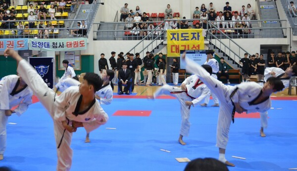 2026년 세종특별자치시태권도협회장기 태권도대회가 4일 세종시민체육관에서 개최됐다.[사진=이주호 기자]