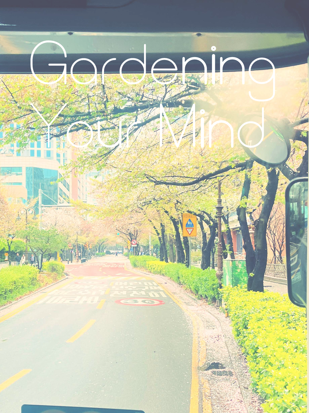 ca9557273a8be.png