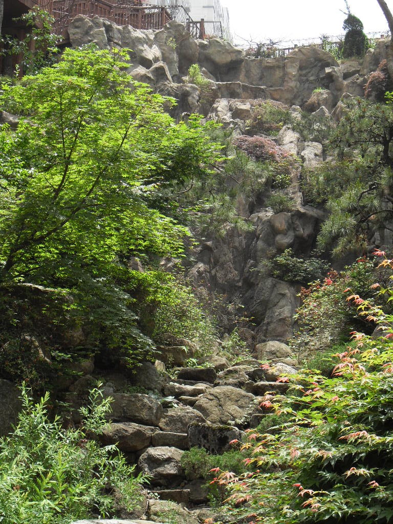 886274bf26342.jpg