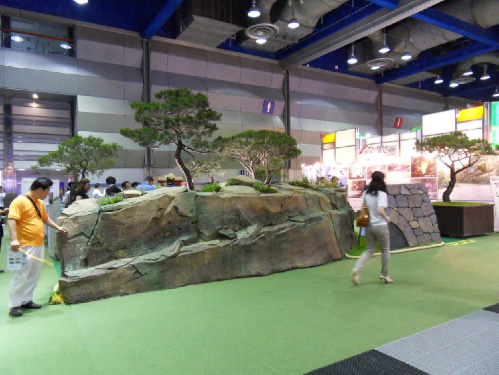 ad8efe9455f3e.jpg