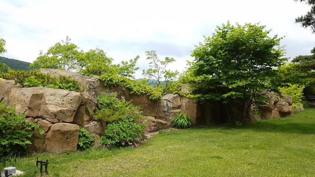 ae0daf5394b6d.jpg