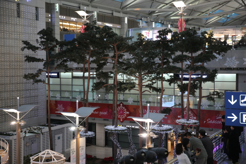 bc7b9490e7387.jpg