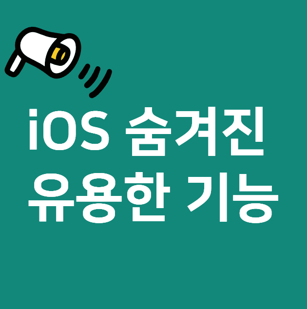 ios 숨겨진 기능 정보