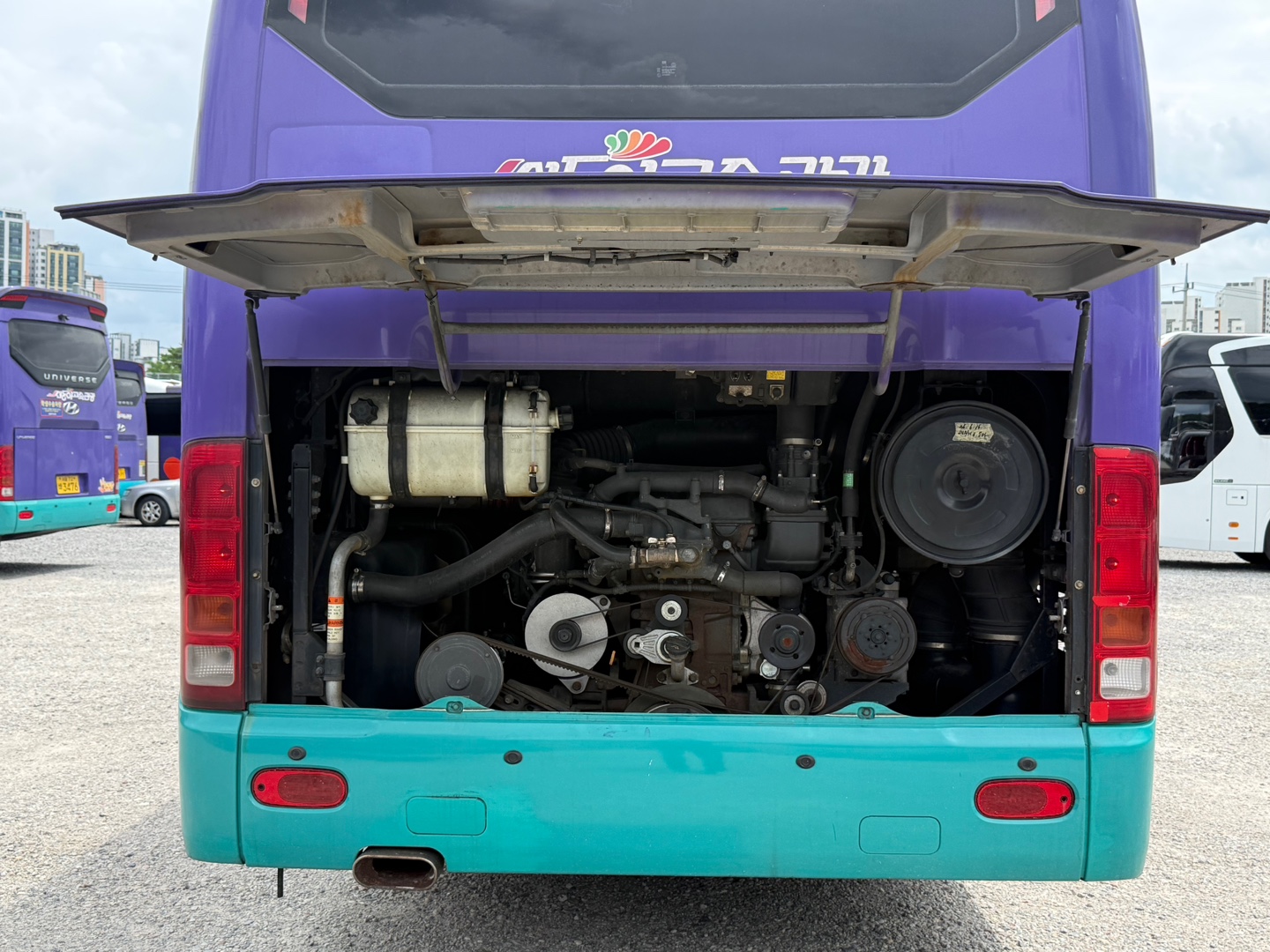 6d9330cab403e.jpg