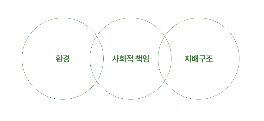 환경, 사회적 책임, 지배구조 지속가능경영 핵심 영역