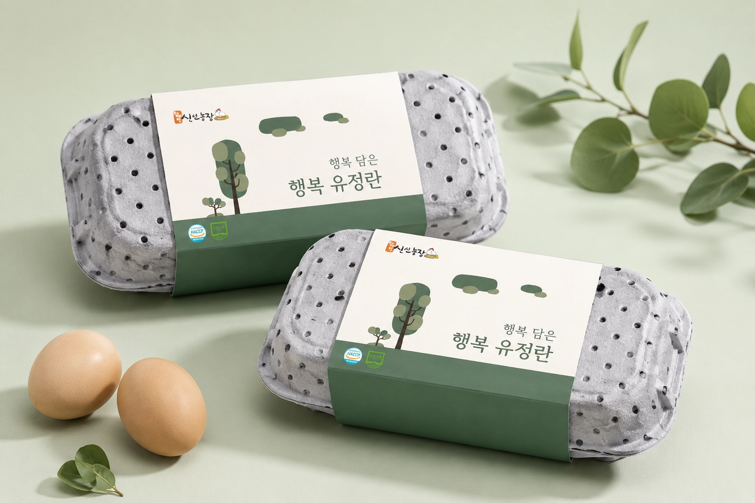 유정란 브랜드 디자인