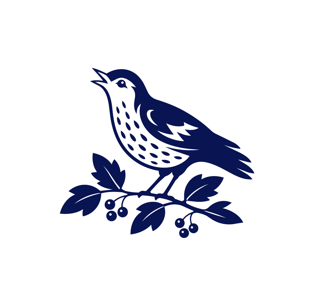 West Bromwich Albion Throstle symbol study