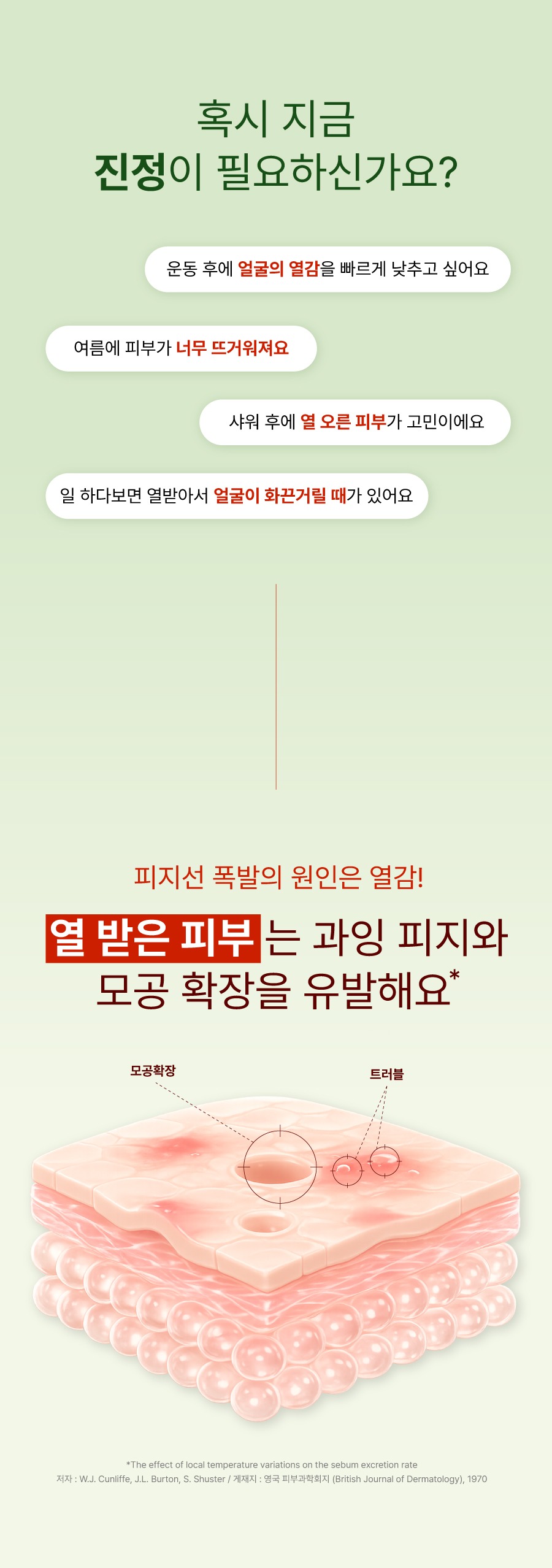 [런칭 특가] 말차 캄 페이셜 미스트 100ml