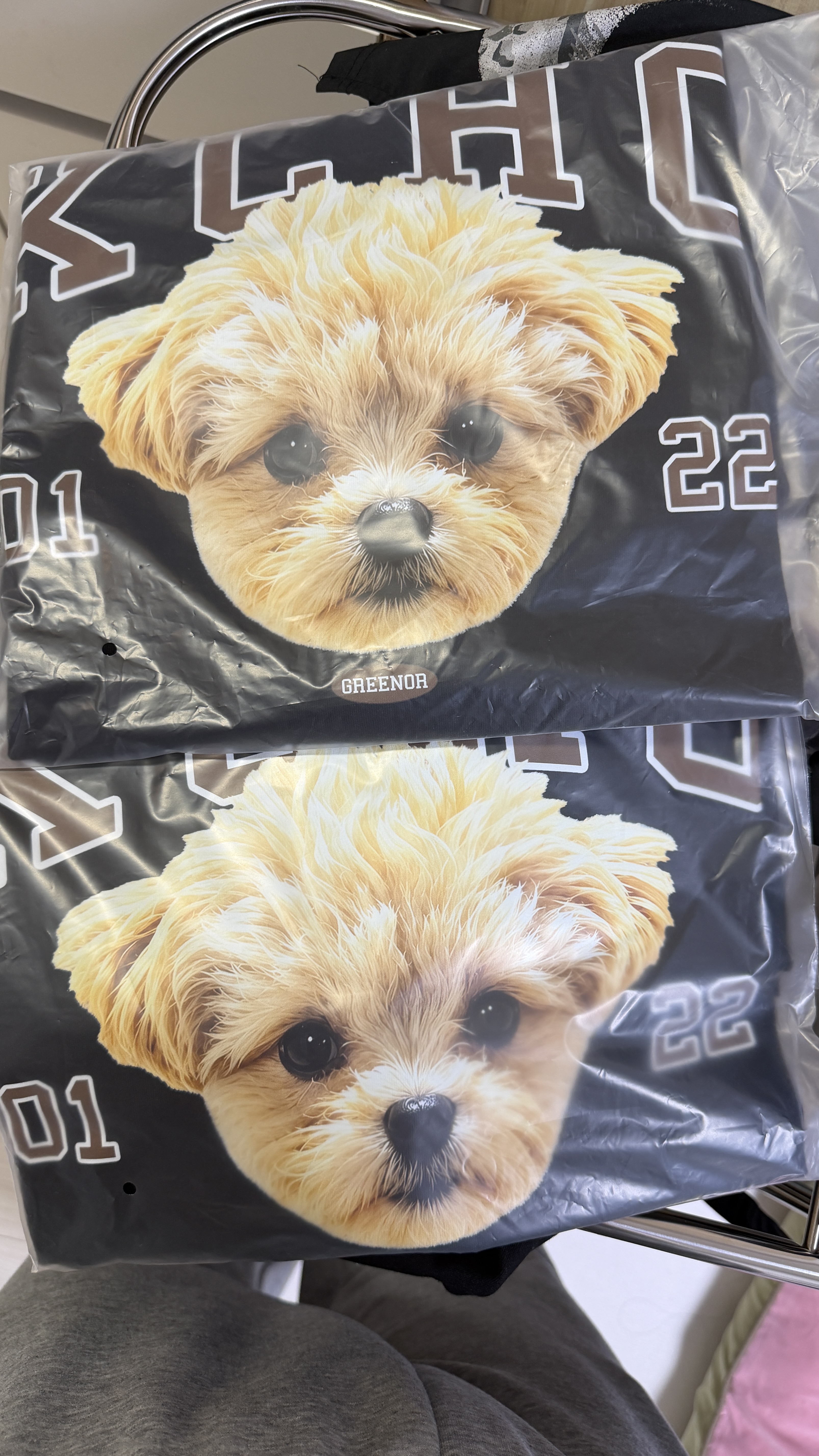 3919060d3d6a7.jpeg