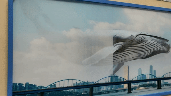 7e8fd78b176ff.gif