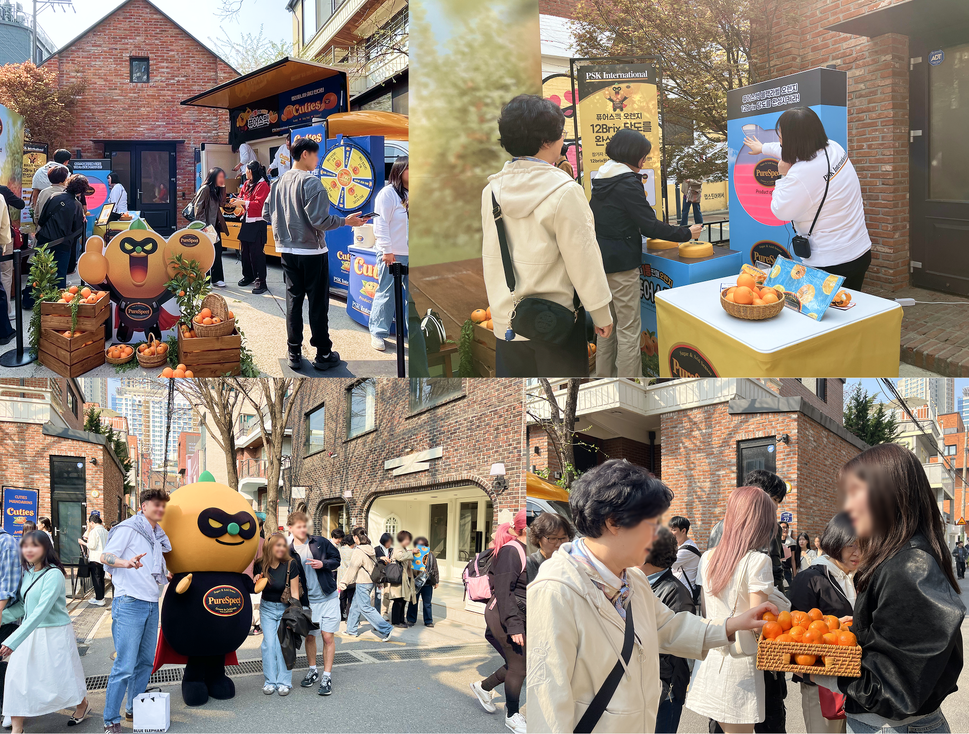 f093641a247d6.png