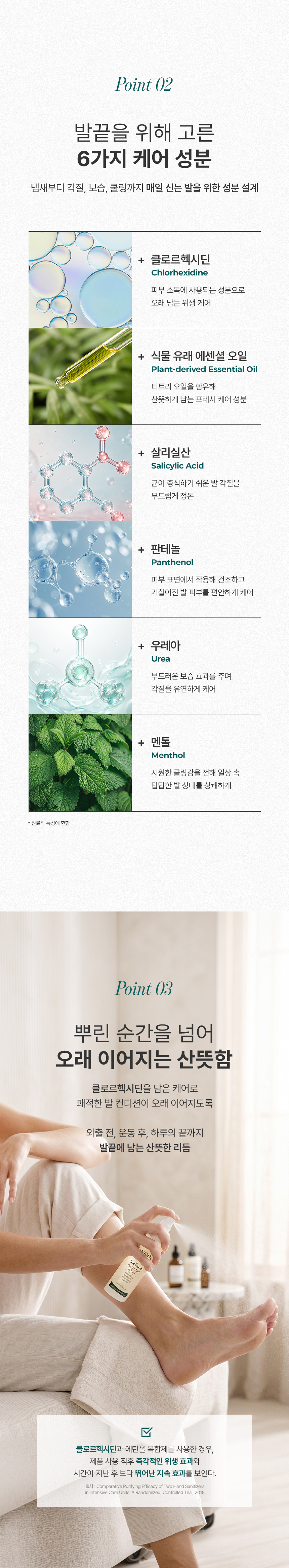 새니닥 토앤솔 풋케어 스프레이 티트리레몬그라스, 100ml, 1개