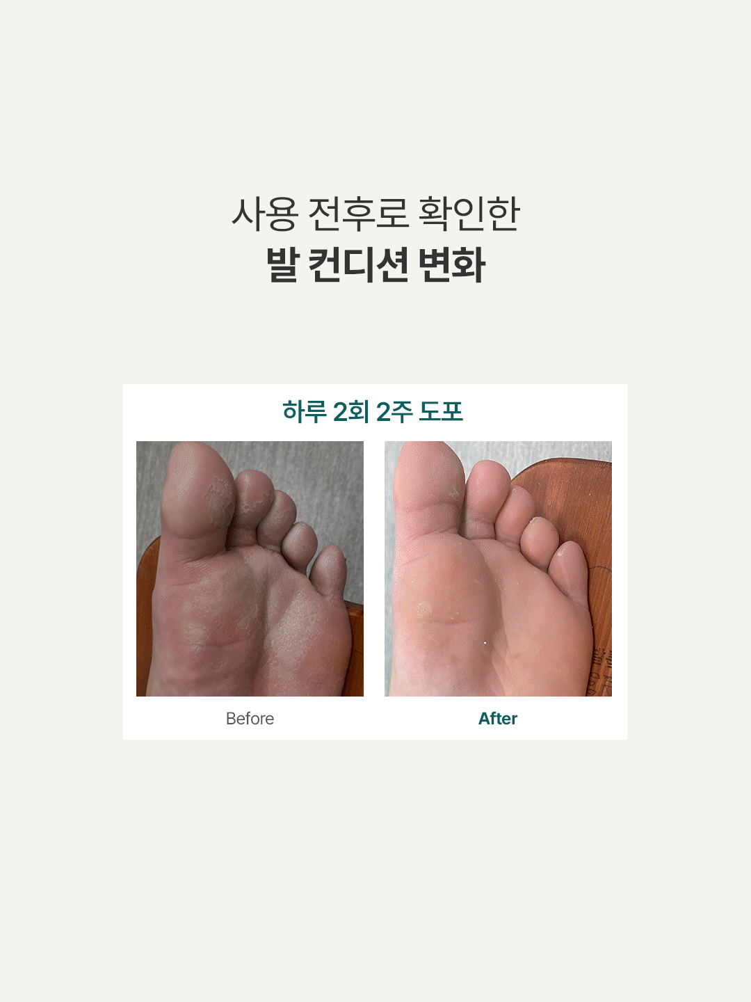 d5163767883f7.png