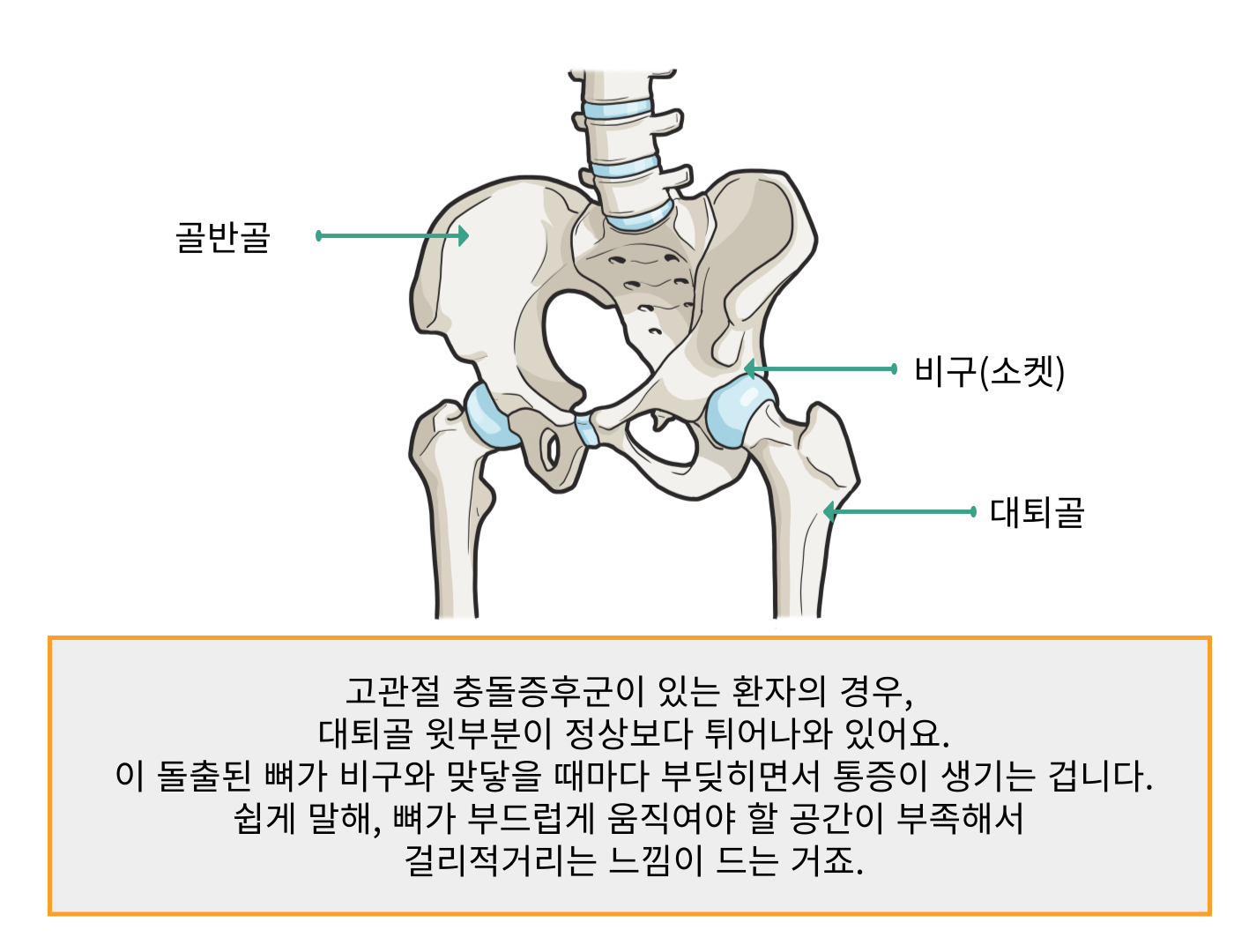 #프랑소와펫, ❄️겨울의 첫 설렘이 내리던 이번 주,, 다들 눈 밭에 사랑스러운🐾발도장 찍고 왔나요?, 메리베리 타르트는 지금 열심히  예약 받고 있답니다., 편하게 연락주세요🩵, #강아지연말케이크 #강아지크리스마스케이크 | 프랑소와펫 | Facebook, image size:1400x1080