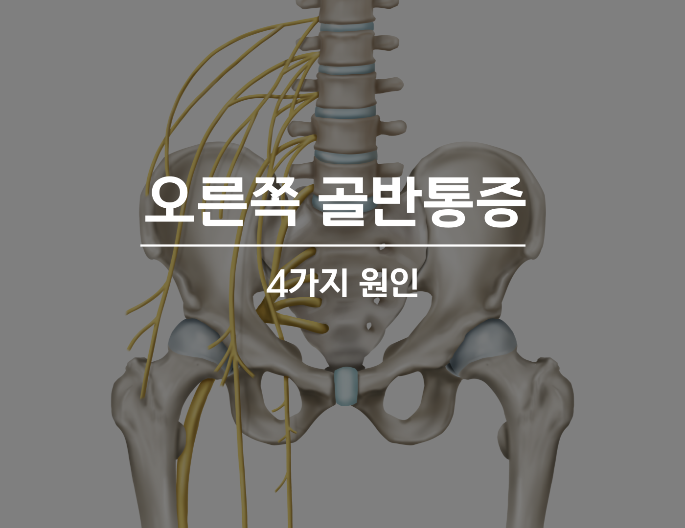 Visual History of Korea : Photojournalism images with stories : Korea·Los  Angeles·Washington, image size:1400x1080