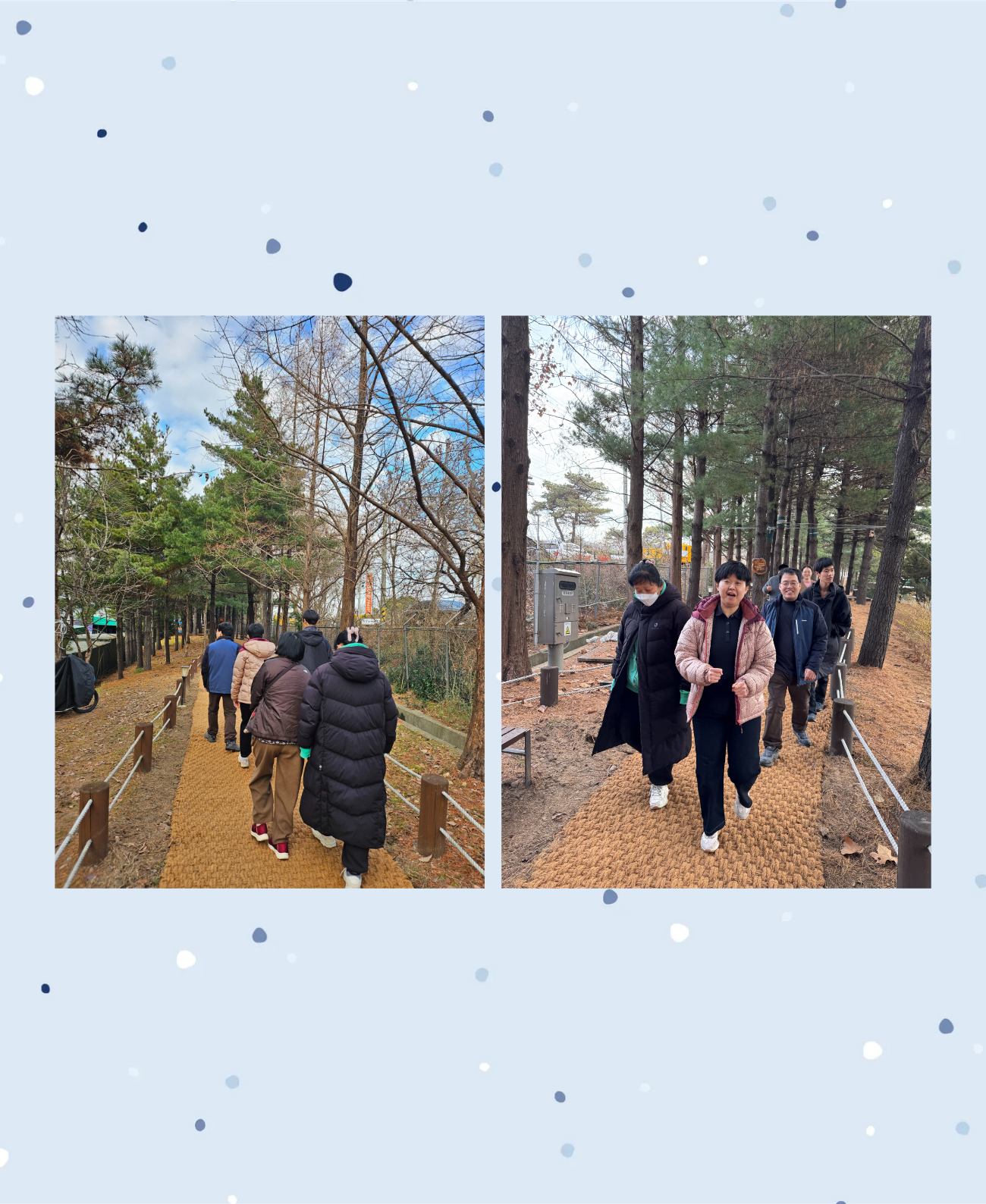 55c53fff6ffc2.png